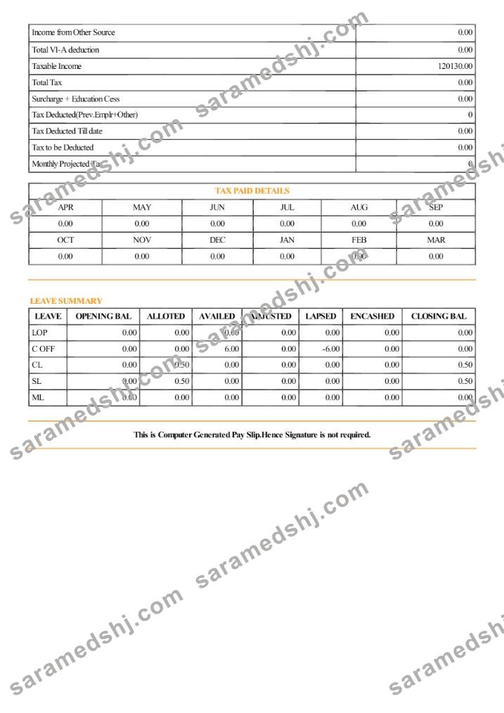 Patil Rail Infrastructure payslip template in Word and PDF formats.pdf, 2